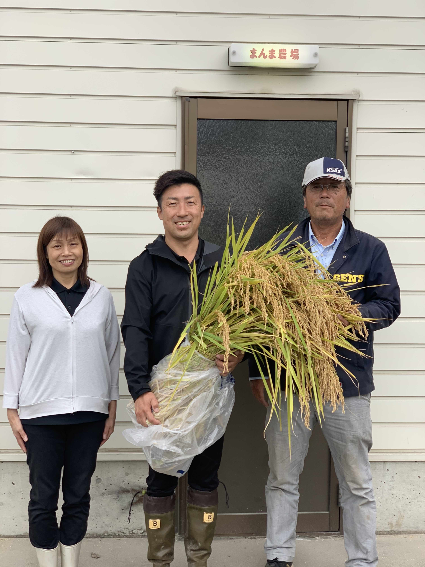 まんま農場さん稲刈り体験。 | 農薬化学肥料不使用　作物