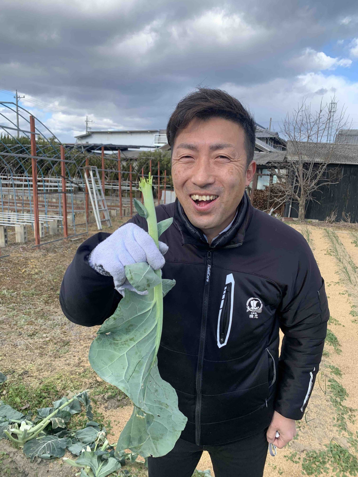 ブロッコリー収穫 | 農薬化学肥料不使用　作物