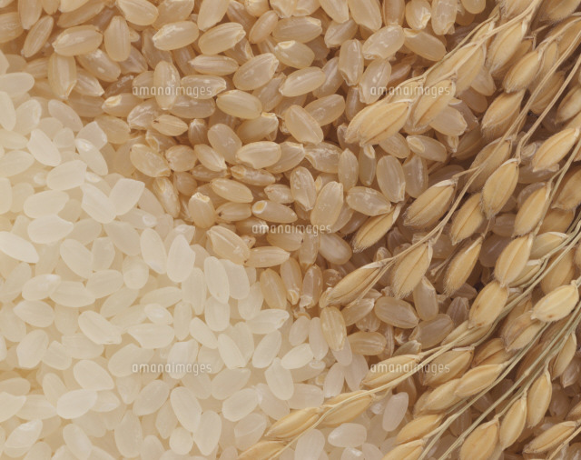 お米の保存方法はとても大切です。