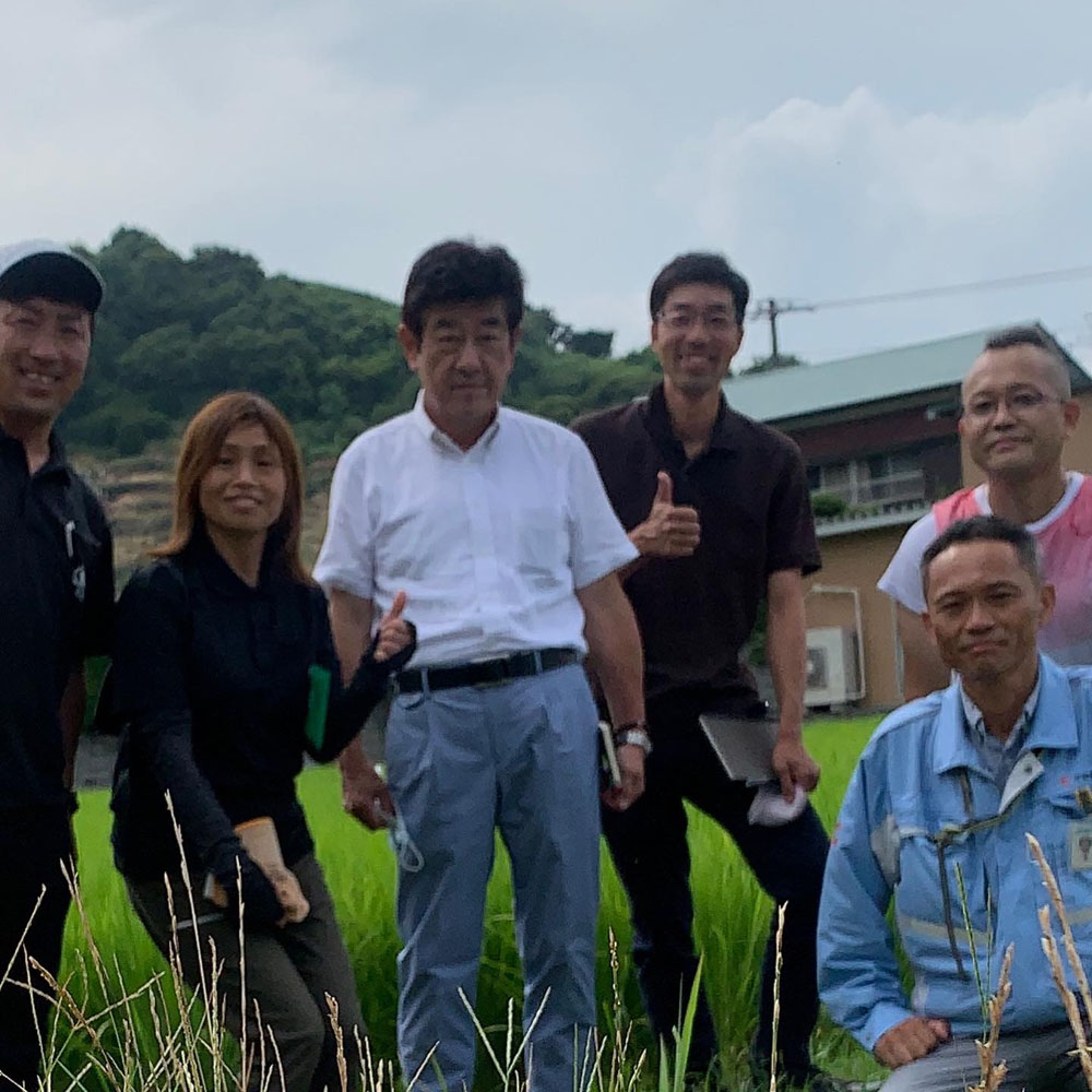 静岡県の大澤さんへ | 農薬化学肥料不使用　作物