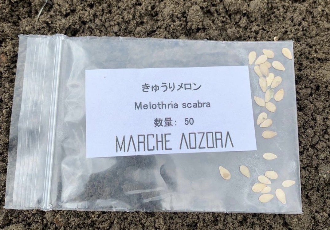 つちのおとで育てた横忠農園の野菜たち | 農薬化学肥料不使用　作物