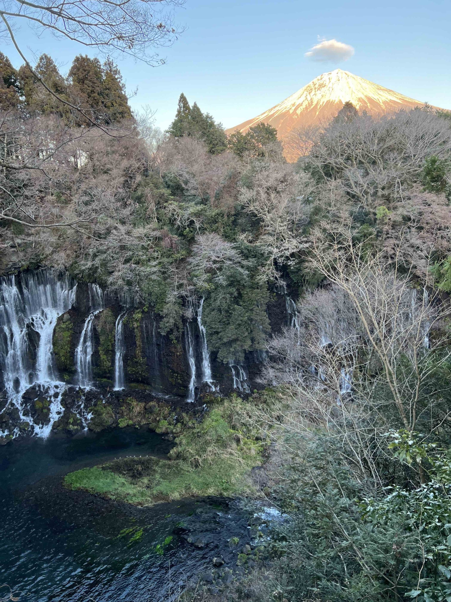 明けましておめでとうございます。 | その他