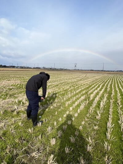 無農薬栽培米「つちのおと」圃場　土壌分析！