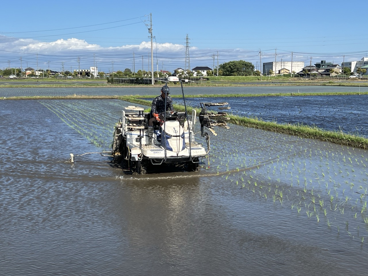 田植えが始まりました！ | 農薬化学肥料不使用　作物