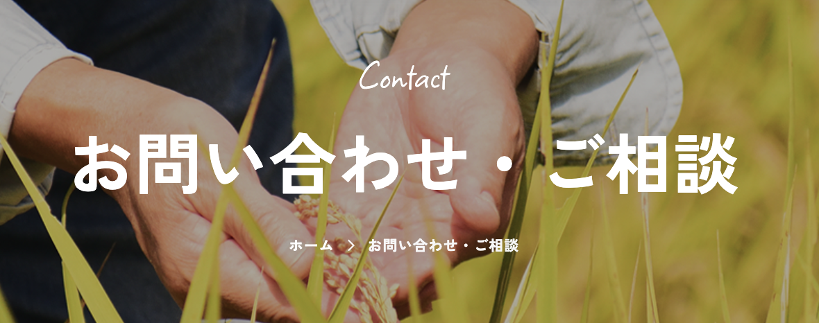 【重要】お問い合わせフォーム不具合に関するお詫びと再送のお願い | その他